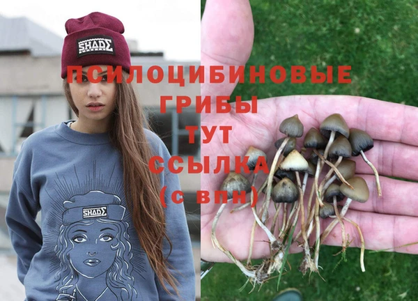 прущие крисы Наволоки