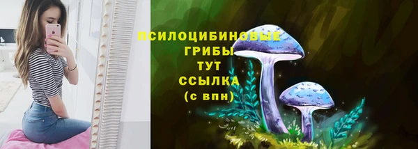 прущие крисы Наволоки