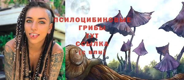 герыч Надым